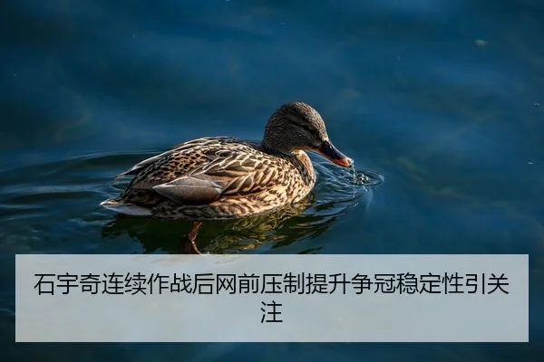 石宇奇连续作战后网前压制提升争冠稳定性引关注
